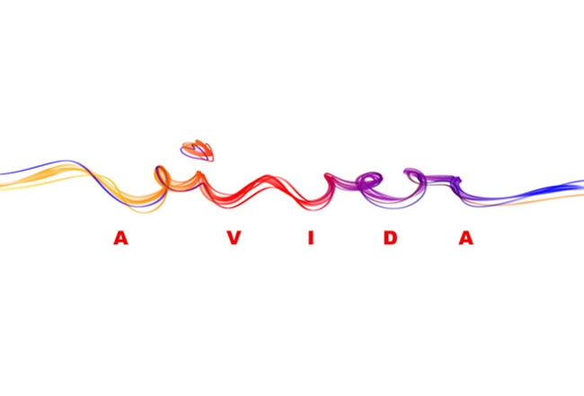 viveravida2009_logo