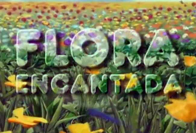 floraencantada_logo